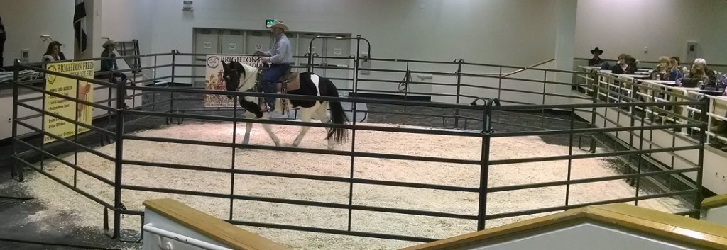 Ken McNabb on horsemanship